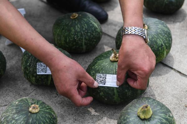 海外分析人士看好中国经济企稳向好
