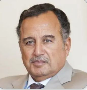 作者：纳比尔·法赫米  (Nabil Fahmy)埃及前外交部长  北京大学中外人文交流研究基地高级访问研究员