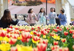 韩国爱宝乐园举办郁金香节