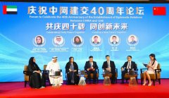 庆祝中阿建交40周年论坛在迪拜举行