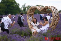 <b>夏日紫色浪漫来袭！中英芳香产业人士共话交流合作</b>