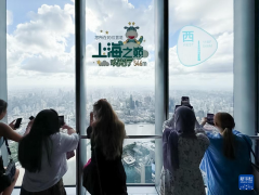 “洋网红”打卡上海