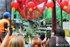 莫斯科动物园为“喀秋莎”举办生日庆祝活动