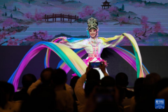 中国婺剧表演亮相赞比亚 庆祝中赞建交60周年