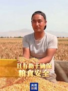 联合国粮农组织：“中国饭碗” 有保障！