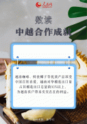 数读中越合作成就