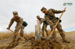 戈壁滩上立“标石”