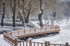 雪落长春