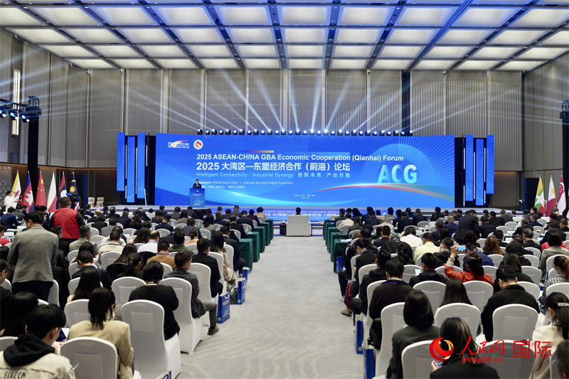 2025大湾区-东盟经济合作(前海)论坛现场。人民网记者 许峥摄