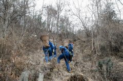 秦岭山区的“背篓电工”