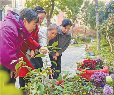 社区更新 惠民暖心（深阅读）