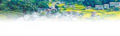  以监督实效回报群众信任（前沿观察）