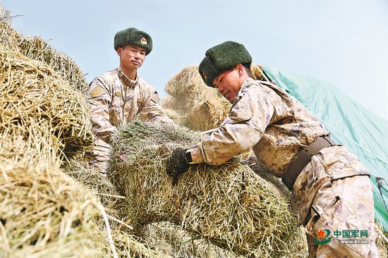 踏访新时代边关·走进无名哨所丨库克他乌：那抹不褪色的青绿