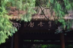 亚洲媒体考察团走进广元翠云廊：古蜀道上千年古柏郁郁葱葱