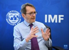 专访丨亚洲经济体应推动能源供给多元化——访IMF亚太部副主任赫尔布林