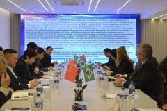 纪念中国人民抗日战争暨世界反法西斯战争胜利80周年座谈会在巴西里约举行