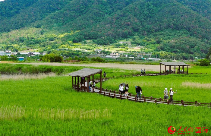 游客沿着栈道欣赏沿途风景。人民网记者 汪思源摄