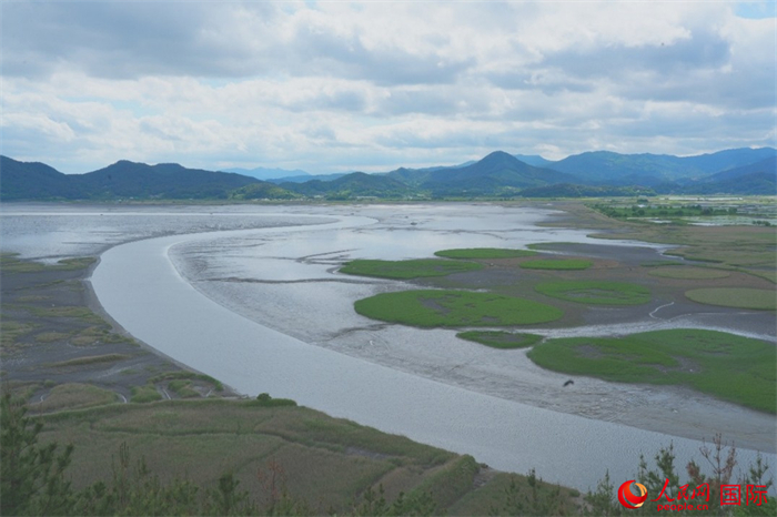 顺天湾湿地景观。人民网记者 汪思源摄