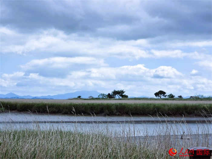 顺天湾湿地景观。人民网记者 汪思源摄
