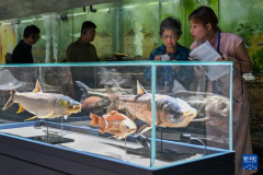 多国代表参访湖北：从发展图景中读懂幸福生活