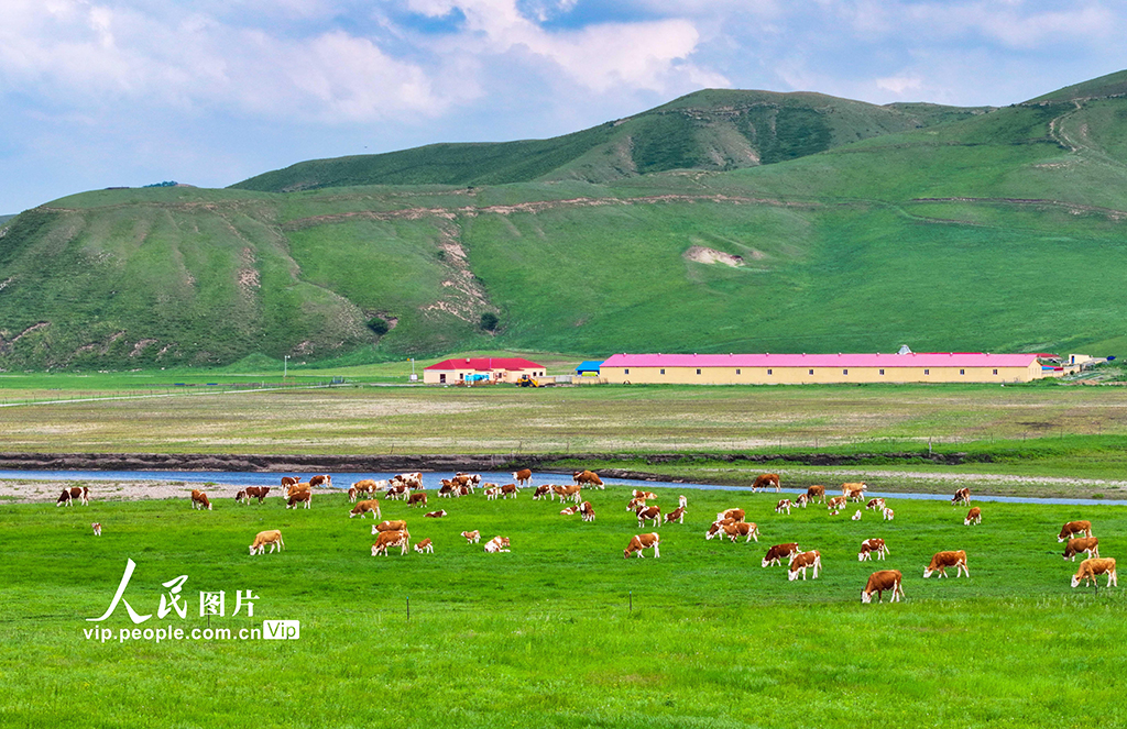 内蒙古兴安盟：乌兰毛都草原夏日美景